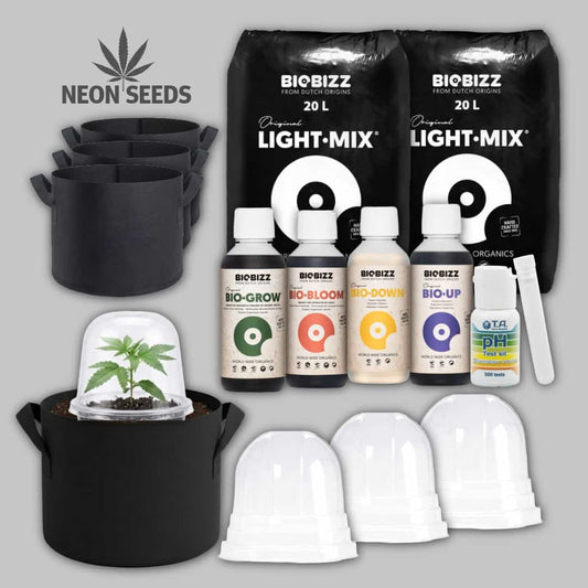 Anbausetz_fuer_Automatik_Cannabissamen_Set