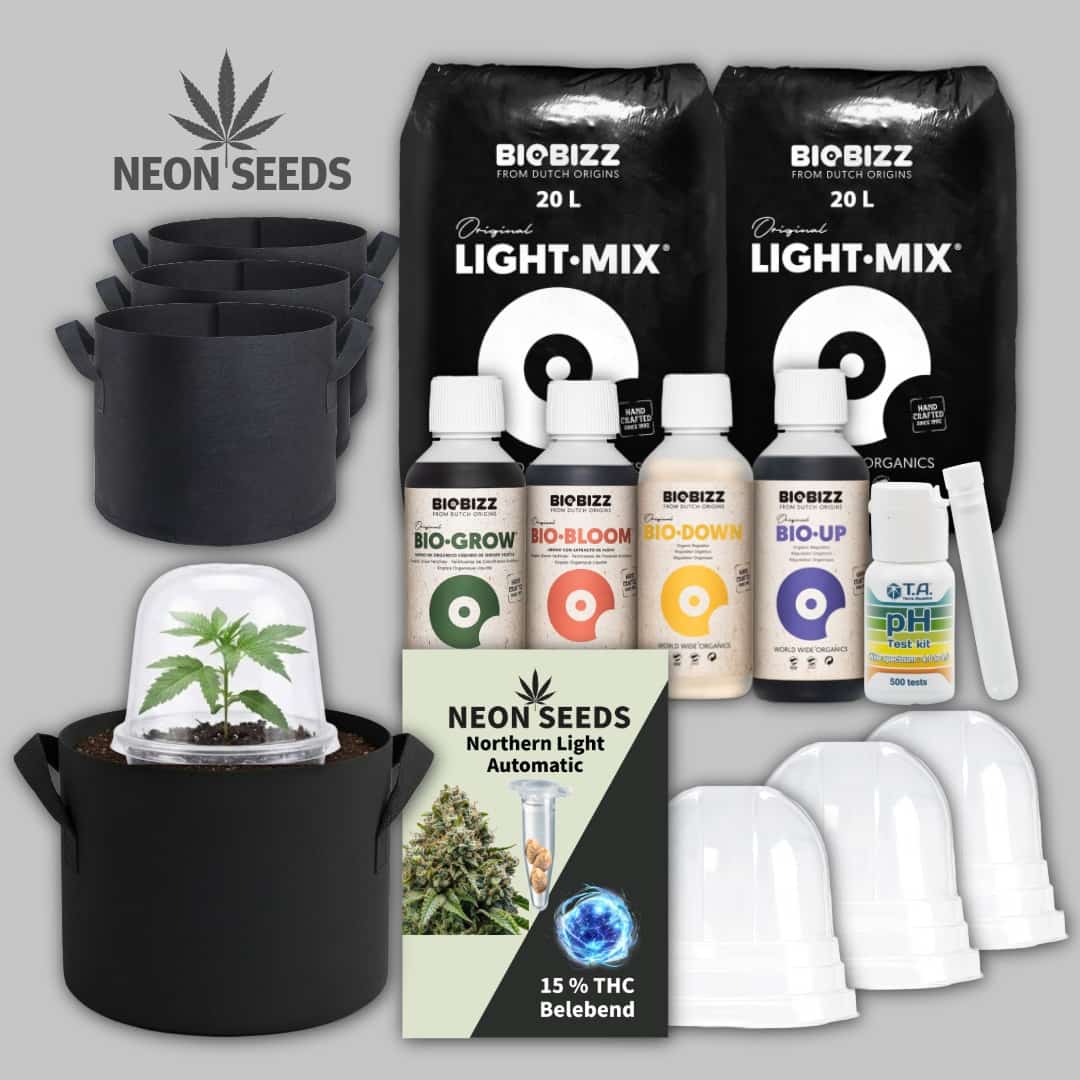 Anbausetz_fuer_automatik_Cannabissamen_NeonSeeds