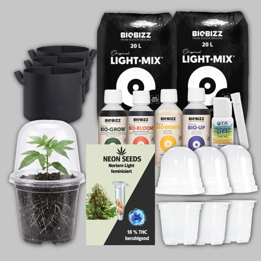 Anbausetz_fuer_feminisierte_Cannabissamen_NeonSeeds