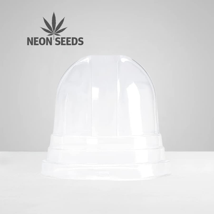 Anzuchthaube_Cannabissamen_NeonSeeds