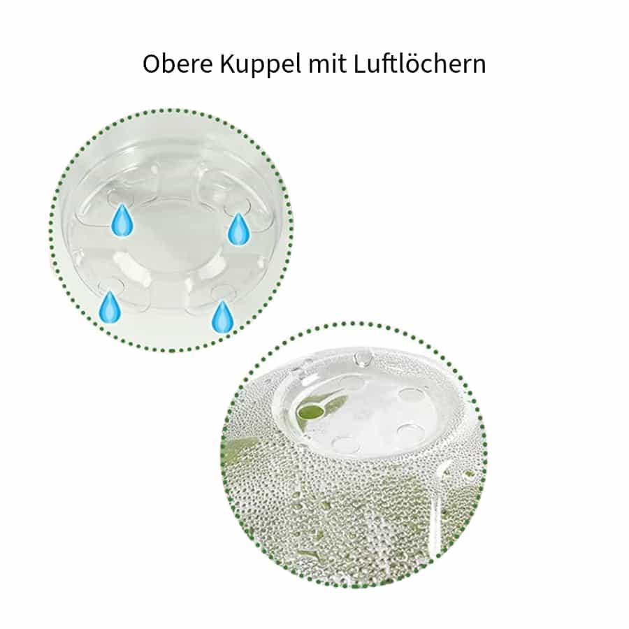 Kuppel_mit_Luftlöcher_NeonSeeds