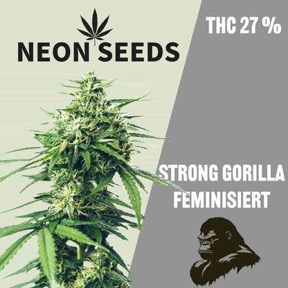 NeonSeeds_Strong_Gorilla_Canabissamen_feminisiert